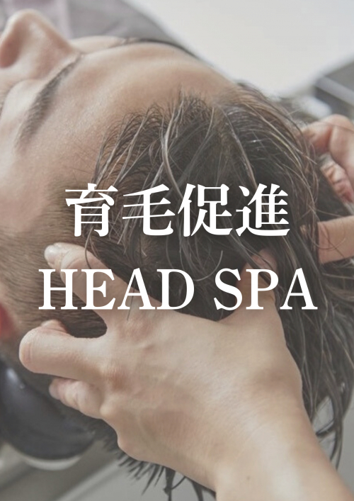 【抜け毛,分け目が気になる方に】育毛促進ヘッドスパ